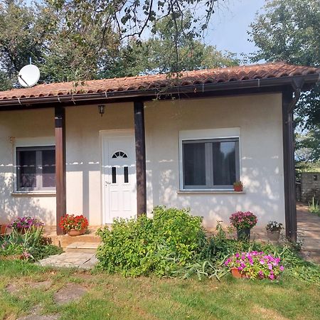 Murine Apartment Marijana מראה חיצוני תמונה