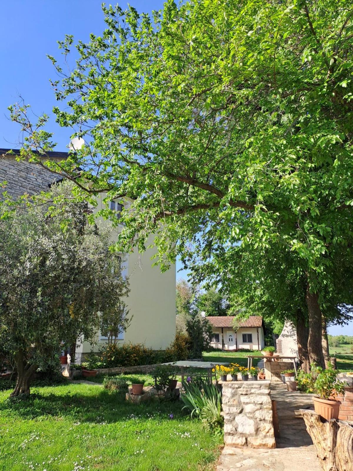 Murine Apartment Marijana מראה חיצוני תמונה